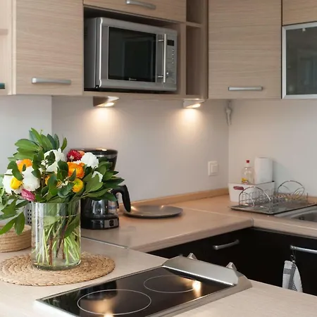 Homz Ah02 Kolonaki Penthouse *